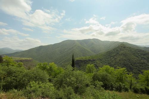 a view of auliculiculiculiculiculiculiculiculiculiculiculic at Aramyants Castle in Alaverdi
