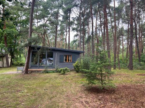 Solaris House - Dom wakacyjny wśród lasu sosnowego