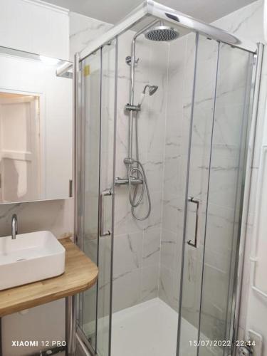 une salle de bain avec douche et lavabo dans l'établissement un appartement individuel dans une maison proche de Paris avec un accès facile aux transports en commun, au Plessis-Robinson