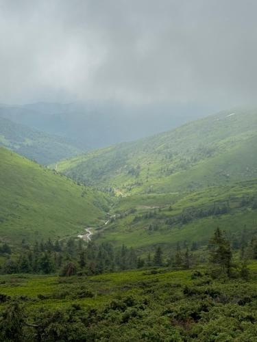 Naturlandschaft in der Nähe des Hotels