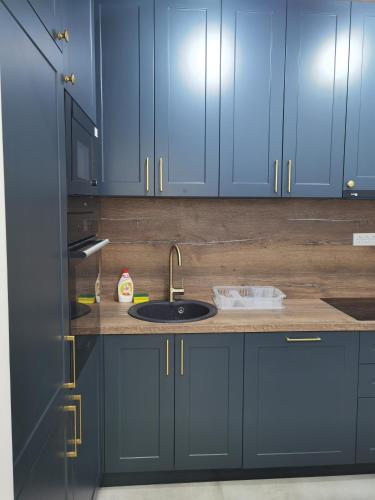 a kitchen with blue cabinets and a sink at Venima City Center Apartment in Tivat