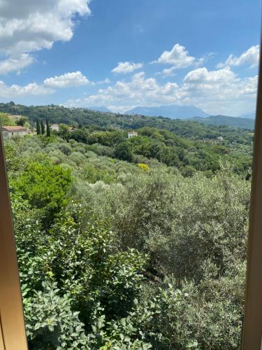 a view of a field of bushes and trees at Sotto la Torre in Caiazzo