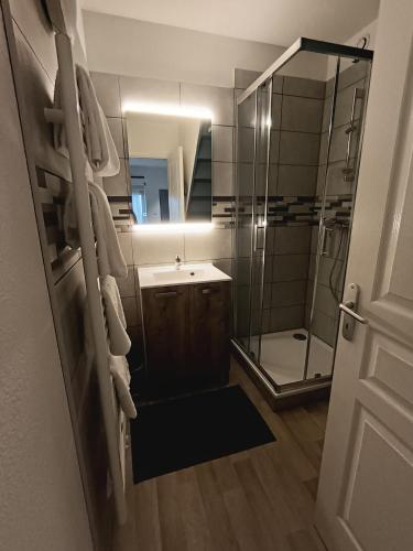 une salle de bain avec une douche, un lavabo et un miroir dans l'établissement T2 cosy en duplex, à Libourne