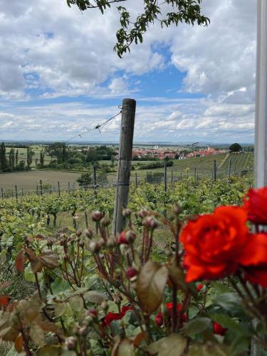 a vineyard with red flowers and a wooden fence at Ferienwohnung am Rathaus in Wiesenbronn