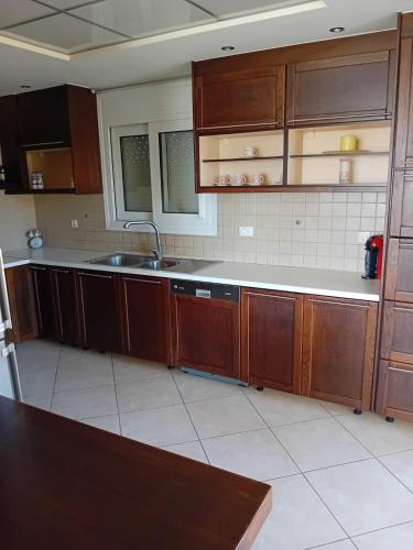 a kitchen with wooden cabinets and a sink at Sunset hellen in Katsíkia