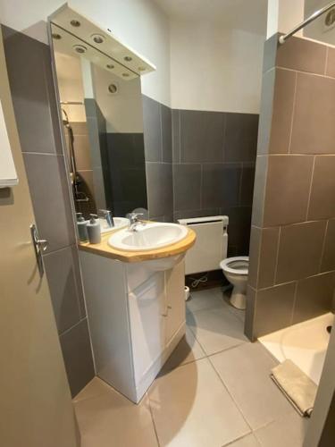 une salle de bain avec un lavabo et des toilettes dans l'établissement Le B2, parking privé, à Carcassonne