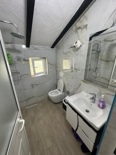 a bathroom with a sink and a toilet at Hotel Restaurant Radomira in Ceren