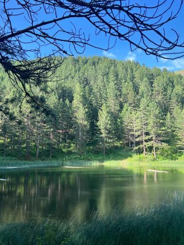 a view of a lake in front of a forest at Hotel Restaurant Radomira in Ceren