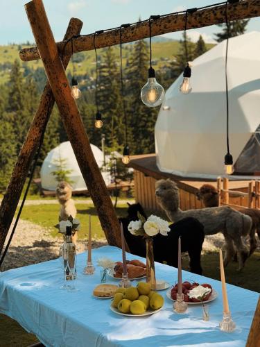 a table with a blue table cloth with food on it at GM Eco Bubble in Yablunytsya