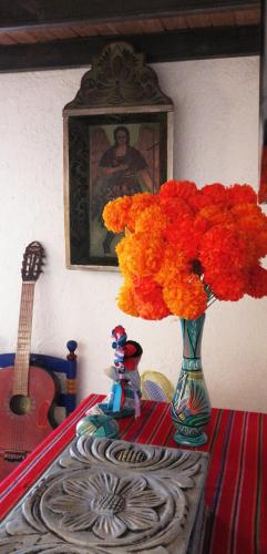 Fotografie z fotogalerie ubytování Los Guachocotes v destinaci Malinalco
