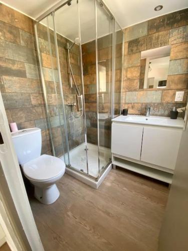 une salle de bain avec toilettes, douche et lavabo dans l'établissement Le B3, parking privé, à Carcassonne