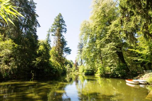 a river with trees and a boat in it at Águas do Gerês - Hotel, Termas & Spa in Geres