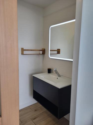 une salle de bain avec un lavabo et un miroir dans l'établissement Plein pied de la petite mer, à Riantec