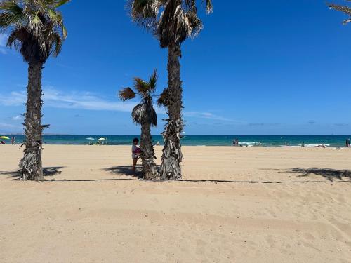 a person standing on a beach with palm trees at Las Casitas Del Mar in Alicante