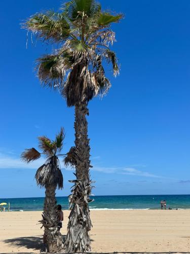 two palm trees on a sandy beach near the ocean at Las Casitas Del Mar in Alicante