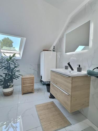 une salle de bain avec un lavabo et un réfrigérateur dans l'établissement Loft ravissant avec parking gratuit, à Colmar
