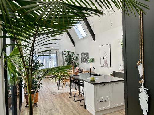 a kitchen with potted plants and a kitchen island at SEAduction Luxury Apartment in Napier