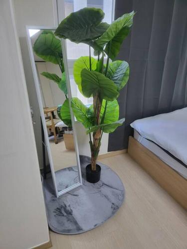 강남 스테이_2