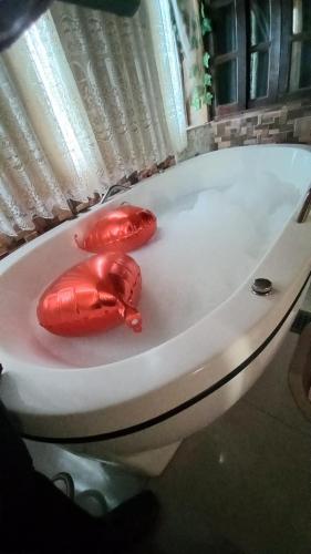 two lobsters sitting on a toilet in a bathroom at Pousada Grom's Village in Campos do Jordão