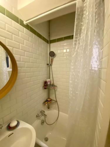 une salle de bain avec un rideau de douche et un lavabo dans l'établissement Appartement mignon et confortable avec accès jardin, à Paris