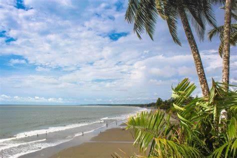 a beach with palm trees and the ocean at cabañas palatíficas en playa barra in Buenaventura