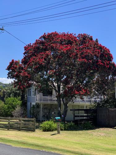 Vườn quanh Playtime Plus - Matapouri Holiday Home