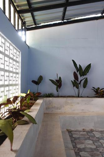 a room with potted plants on the wall at Angel homestay and shop in Dompu