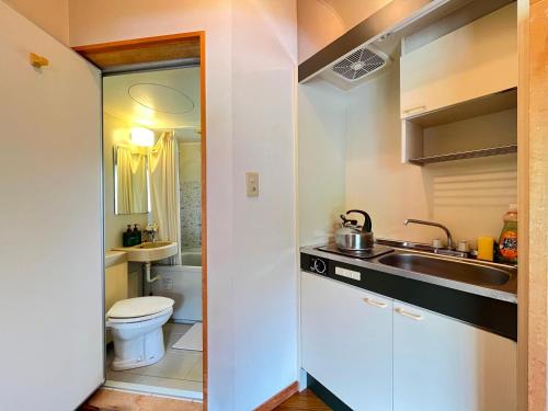 a small bathroom with a sink and a toilet at Pension Mon Repos in Nozawa Onsen