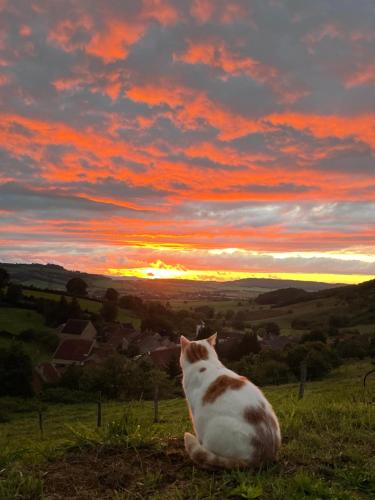 La petite maison dans la campagne