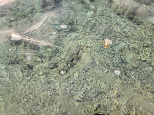 a close up of water with rocks and bubbles at Villa Tesoros del Mar - Luxury Beachfront Villa with Natural Pool, Jacuzzi, Mountain Views, Yoga, BBQ, Wi-Fi, Pet & Family Friendly, Barahona Adventures in El Arroyo