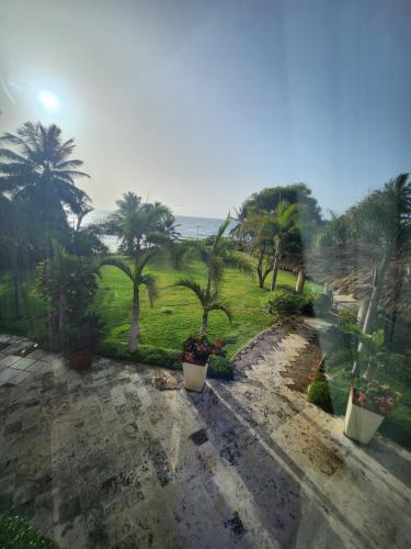 a view of a garden with palm trees and the ocean at Villa Tesoros del Mar - Luxury Beachfront Villa with Natural Pool, Jacuzzi, Mountain Views, Yoga, BBQ, Wi-Fi, Pet & Family Friendly, Barahona Adventures in El Arroyo