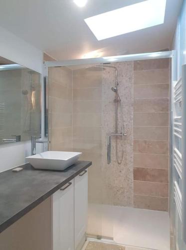 une salle de bain avec un lavabo et une douche dans l'établissement Super appart rue des caves à vin, à Saumur