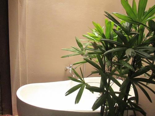 a bathroom with a plant sitting next to a sink at Ninh Binh Nature Homestay in Ninh Binh