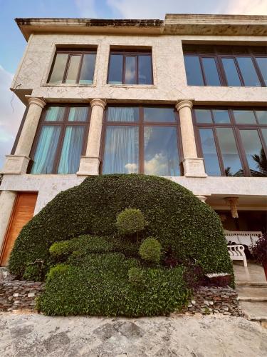a building with a large bush in front of it at Villa Tesoros del Mar - Luxury Beachfront Villa with Natural Pool, Jacuzzi, Mountain Views, Yoga, BBQ, Wi-Fi, Pet & Family Friendly, Barahona Adventures in El Arroyo