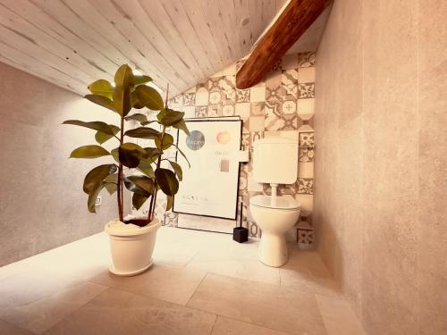 a bathroom with a toilet and a potted plant at G-house in Parma