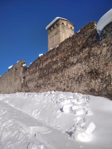 Gallery image of GergHouse in Mestia