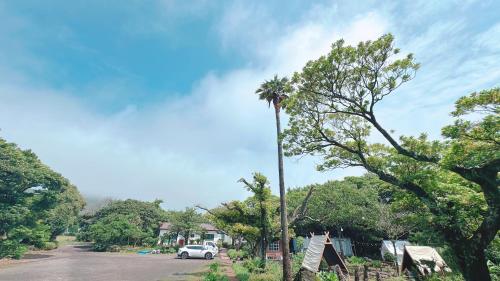 a palm tree on the side of a street at Garden in Jeju 201 in Seogwipo
