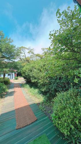 a walkway with plants and trees on the side at Garden in Jeju 201 in Seogwipo
