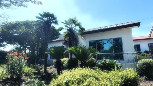 a house with palm trees in front of it at Garden in Jeju 201 in Seogwipo