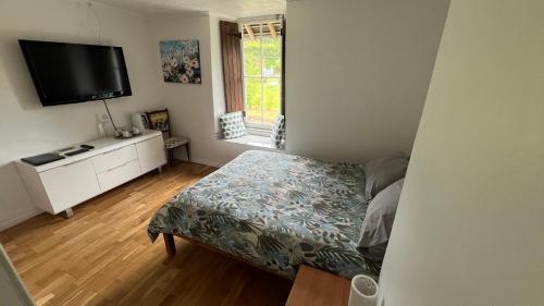 a bedroom with a bed and a flat screen tv at Chez Thomas 7 Route du Monde Ancien in Saint-Georges-dʼAunay