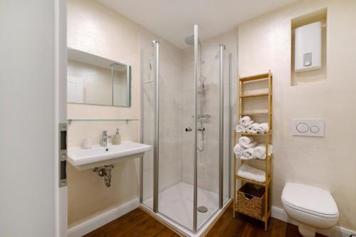 een badkamer met douche, wastafel en toilet bij Alte Stadtvilla Weinberg 6 in Traben-Trarbach
