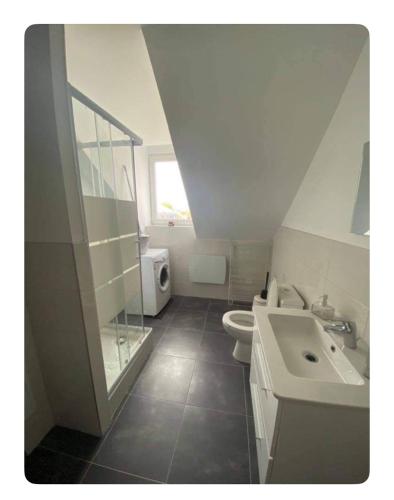 une salle de bain blanche avec un lavabo et des toilettes dans l'établissement Appartement 2 pièces cosy proche centre ville, à Mulhouse