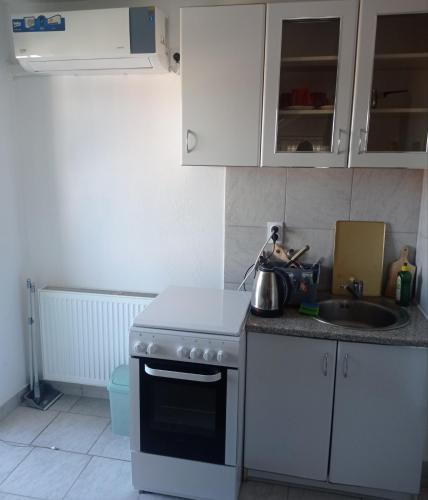 a kitchen with a stove and a sink at PAR in Donje Mladice