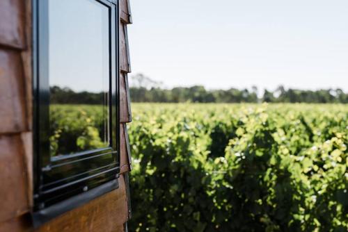 a mirror looking out at a field of crops at Jones Winery Tiny House on the Vineyard, Rutherglen - Off Grid in Rutherglen