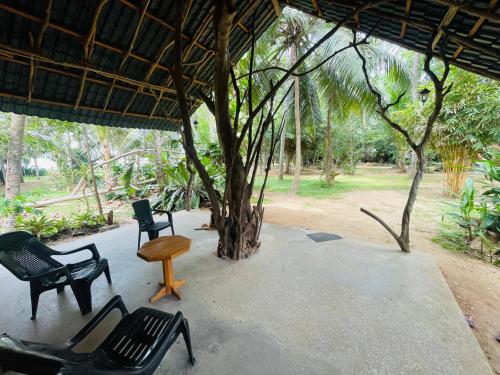 a porch with chairs and a table and a tree at LakeSide Cabana Tissamaharama in Tissamaharama