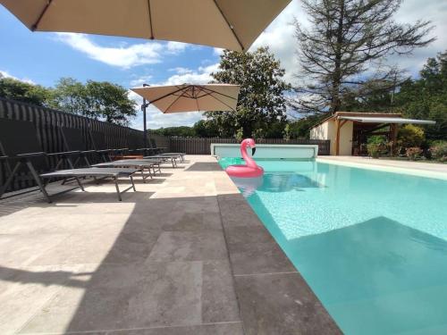a swimming pool with a pink flamingo in the water at Maison de campagne Gite Les Agates in Camiran