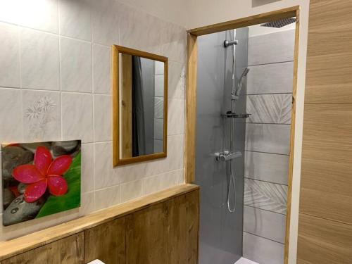 a bathroom with a shower and a mirror at Maison de campagne Gite Les Agates in Camiran