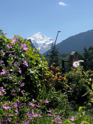 Un paisaje natural cerca de la pensión