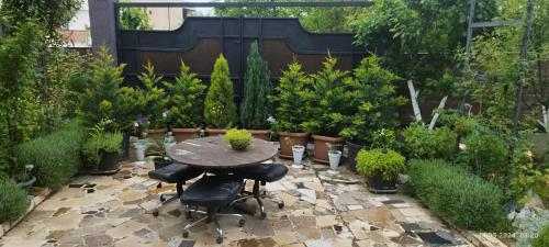 a patio with a table and chairs and potted plants at House on Lisi lake in Tkhinvali