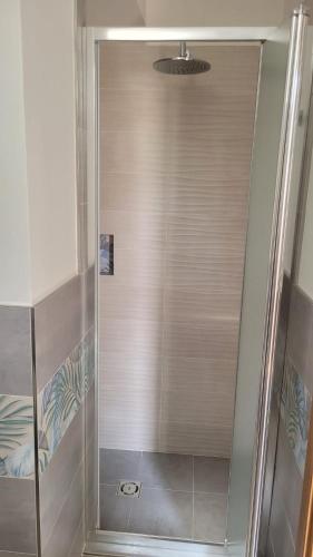 a shower with a glass door in a bathroom at Appartamenti Luongo in Ischia